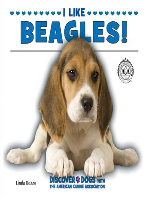 cover image of I Like Beagles!